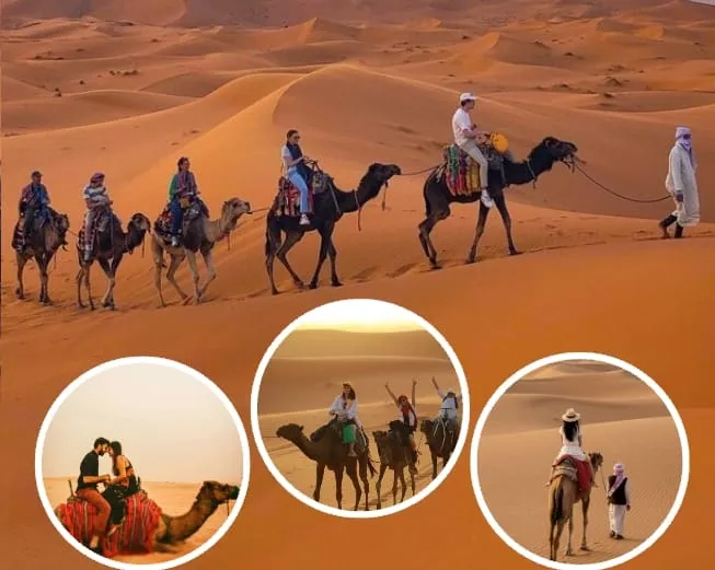Camel Ride Experince